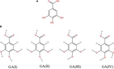 Ocean Acidification Effect on the Iron-Gallic Acid Redox Interaction in Seawater